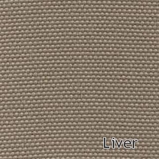 Liver (30K)